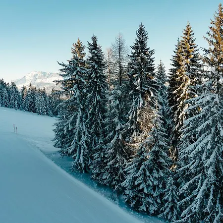 Готель типу 