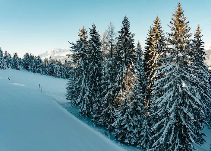 Готель типу 